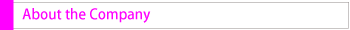 About the Company